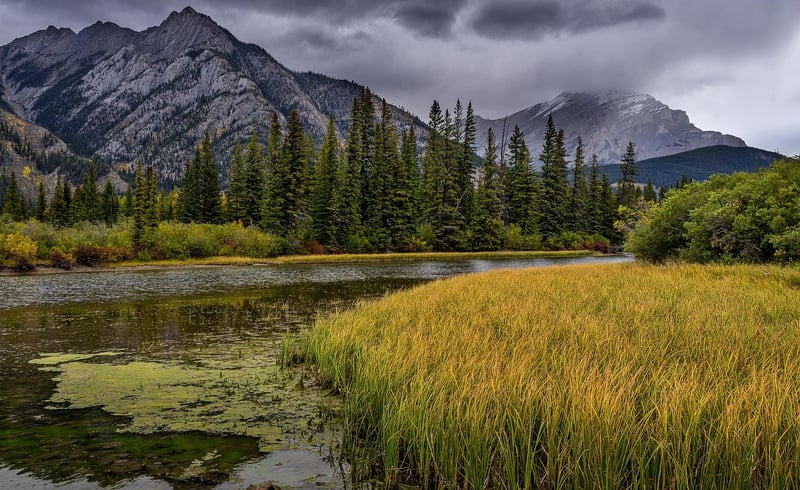 Banff National Park Stargazing